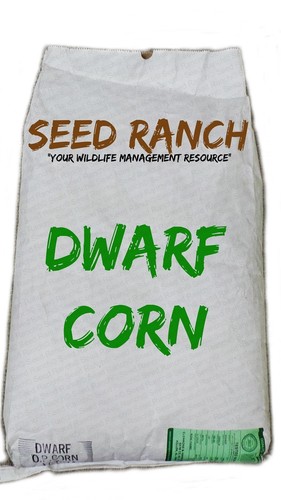 Roundup ready dwarf corn - ready,